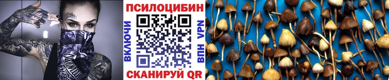 Галлюциногенные грибы мицелий  закладки  дарк нет состав  Шуя 